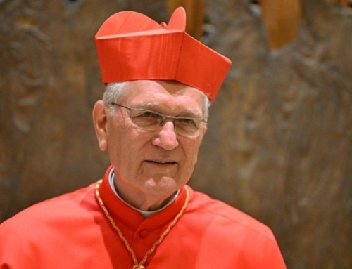 The Cardinal’s New Clothes