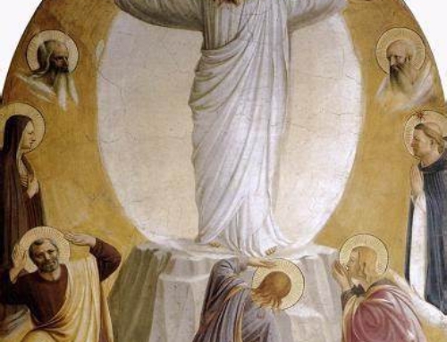 A Glimpse of Transfiguration at Mass